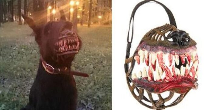 scarydogmuzzle-thumb