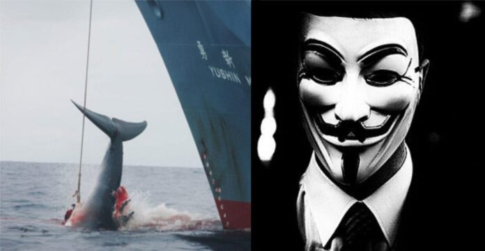 anti-whaling-anonymous