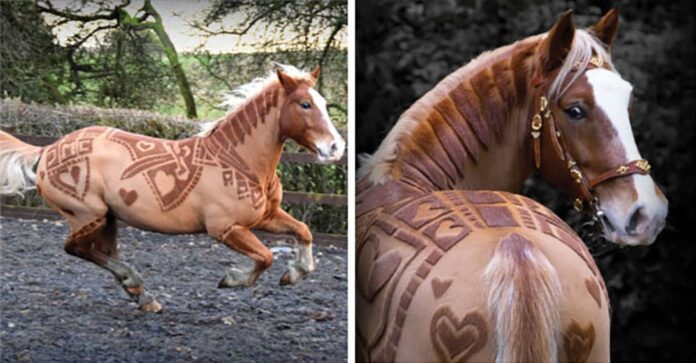 horsey-header