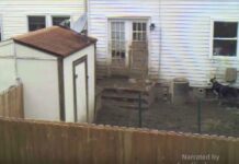 What This Camera Captured Over This 6 Week Period Is Heart-Breaking